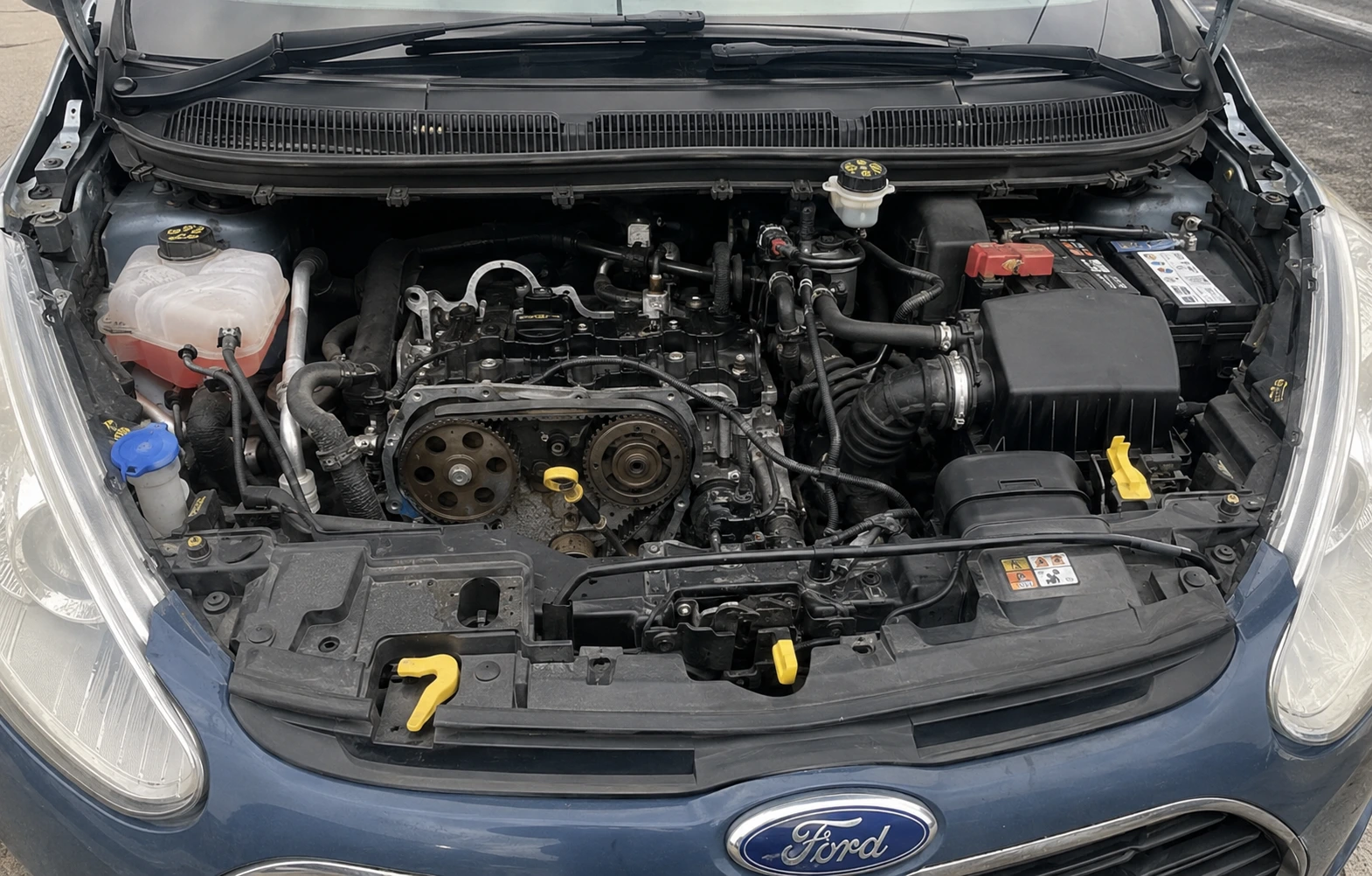 Ford 1.0 EcoBoost engine showing the wet belt running inside the engine in oil